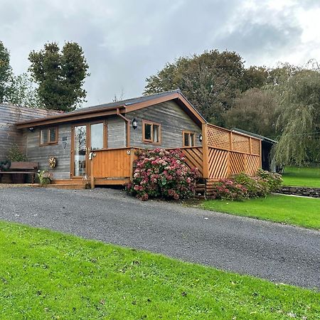 Swansea Log Cabin Pontardawe Buitenkant foto