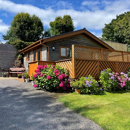 Swansea Log Cabin Pontardawe Buitenkant foto