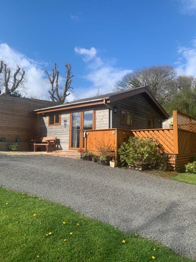 Swansea Log Cabin Pontardawe Buitenkant foto