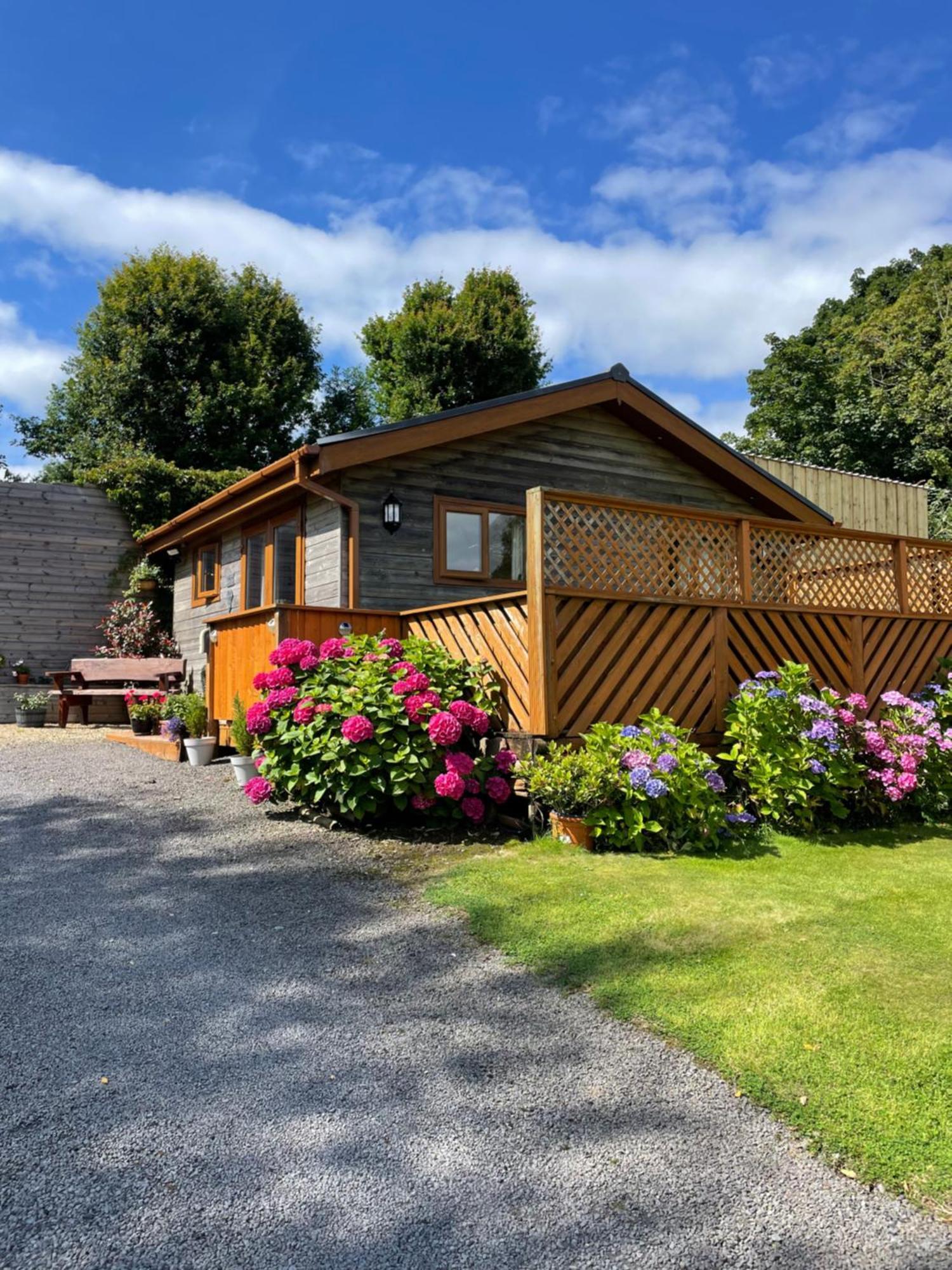 Swansea Log Cabin Pontardawe Buitenkant foto