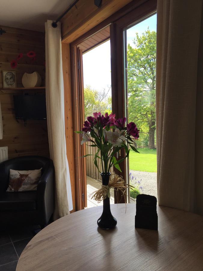Swansea Log Cabin Pontardawe Buitenkant foto