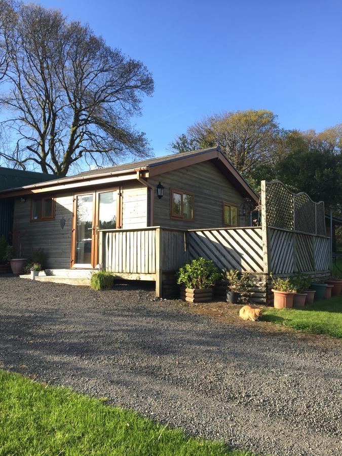 Swansea Log Cabin Pontardawe Buitenkant foto