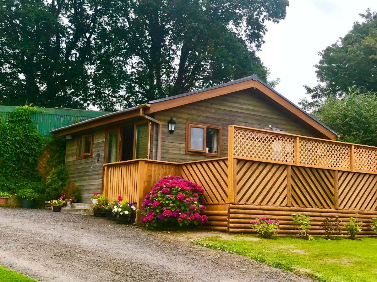 Swansea Log Cabin Pontardawe Buitenkant foto